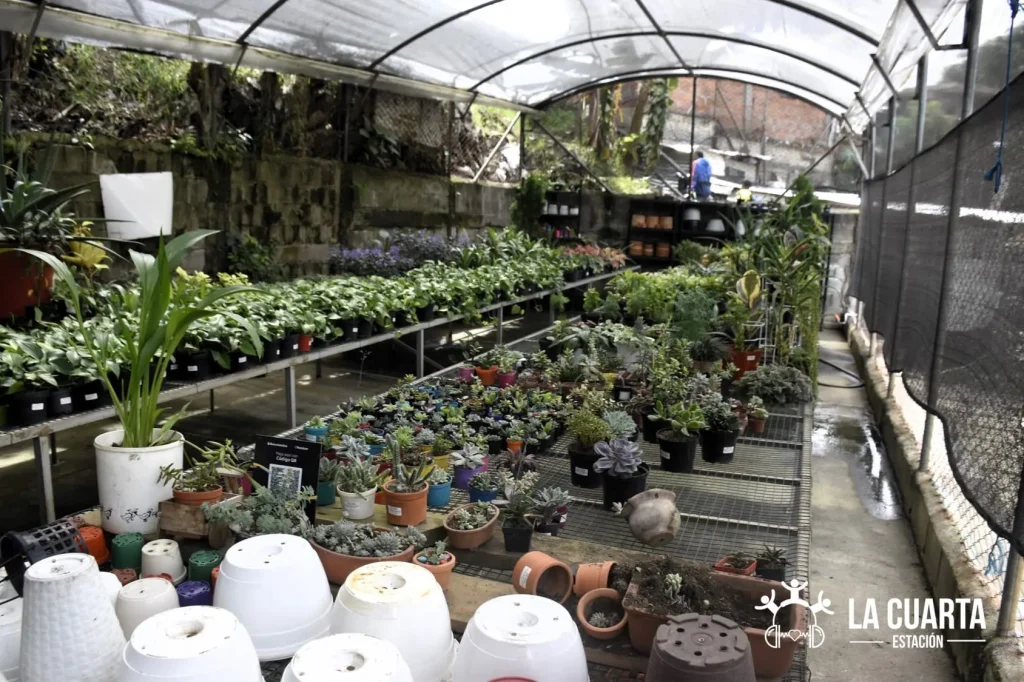 Taller de Marketing Digital con JARUM: Herramientas Digitales para Crecer desde el Territorio