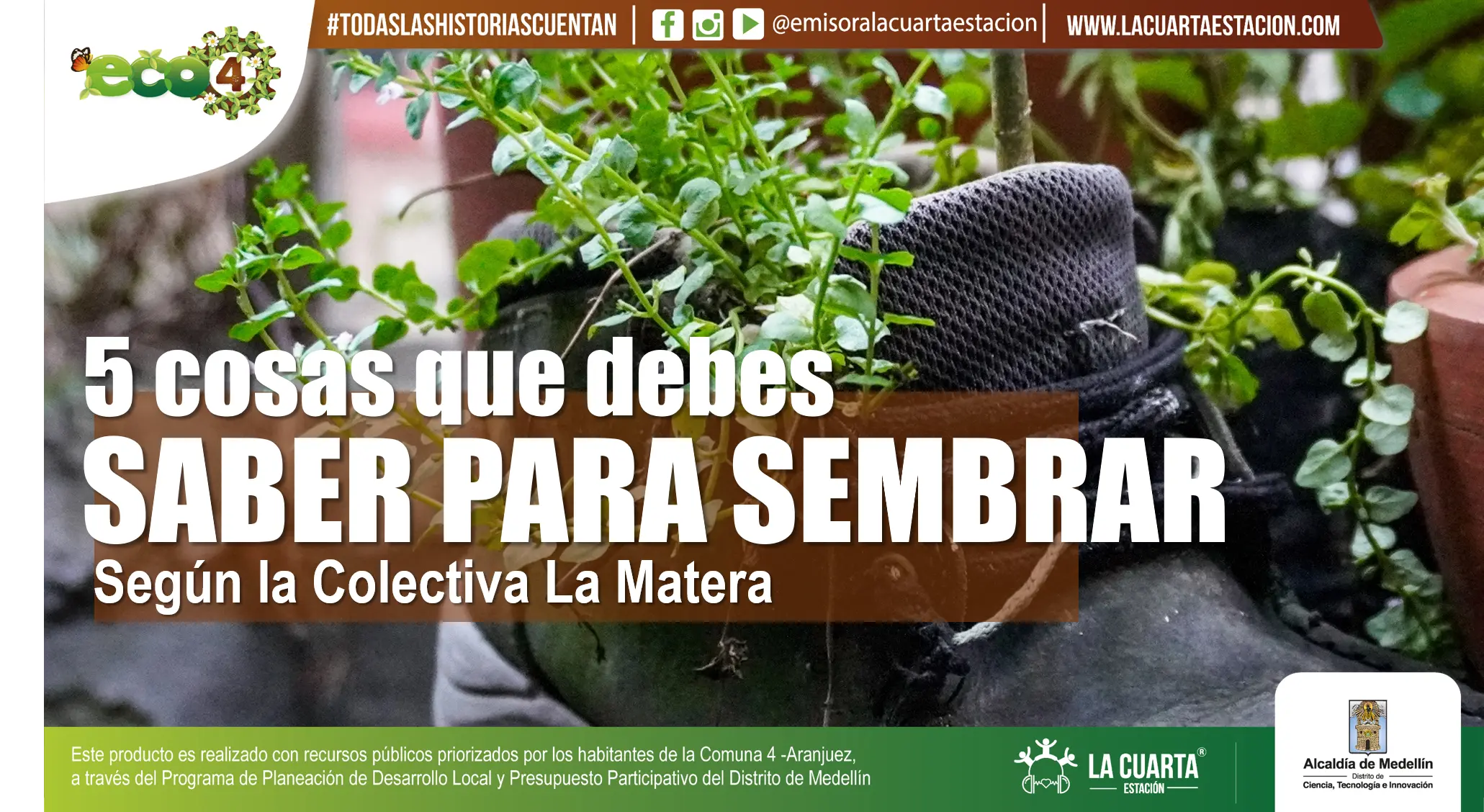 5 Cosas que Debes Saber para Sembrar Según La Matera