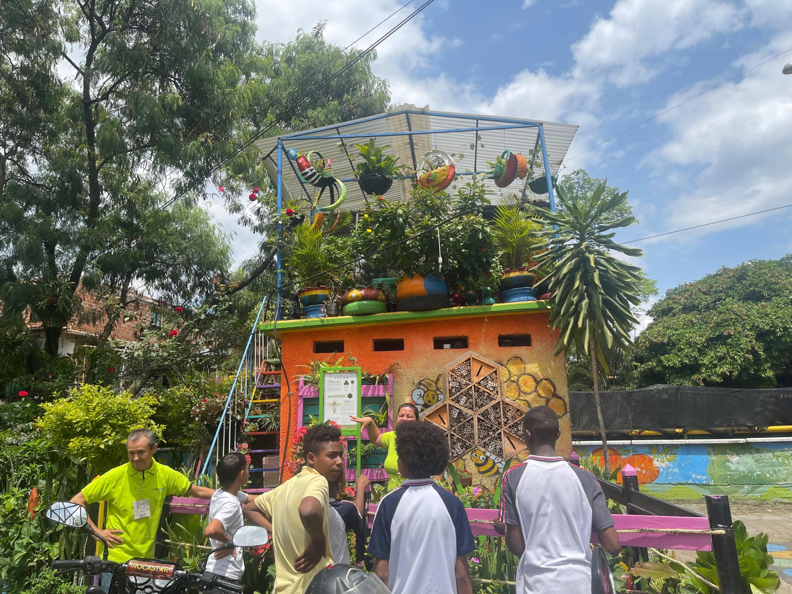 galeria15-eco4.webp