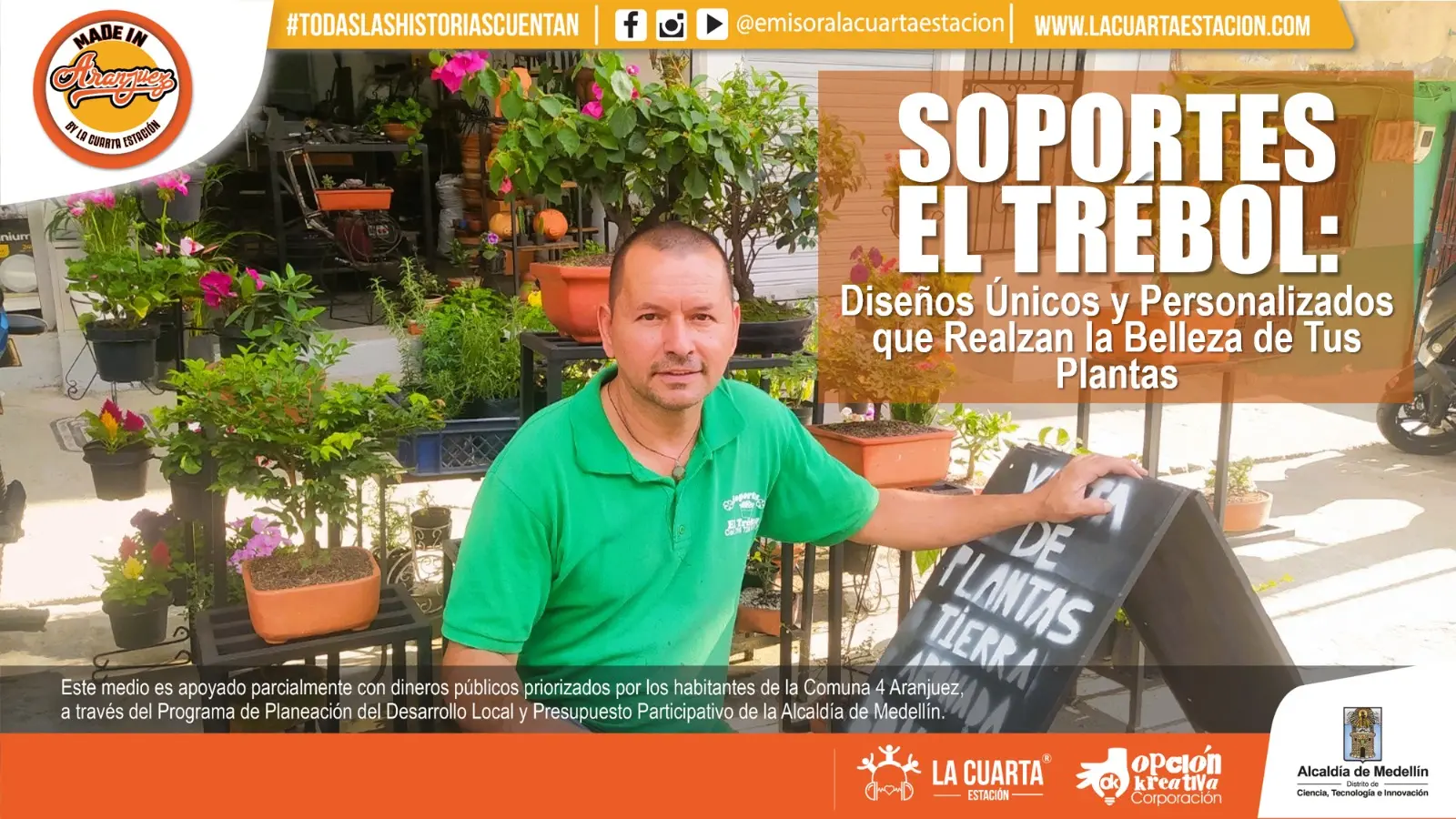 Diseños Únicos que Realzan la Belleza de tus Plantas