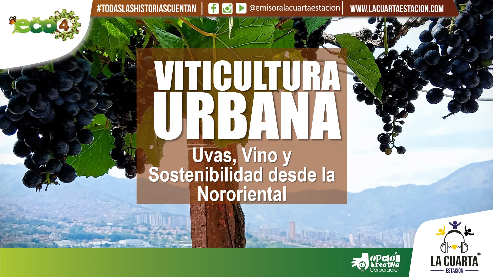 Viticultura Urbana: Uvas, Vino y Sostenibilidad desde la Nororiental
